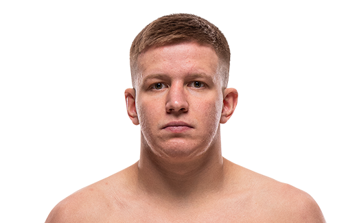 Mark Vologdin portrait