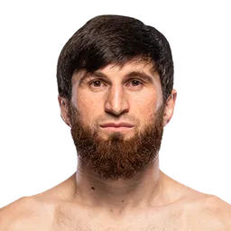 Magomed Ankalaev portrait